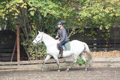  Halsringreiten