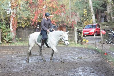  Halsringreiten