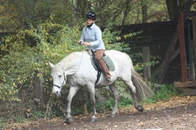  Halsringreiten
