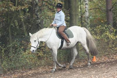  Halsringreiten