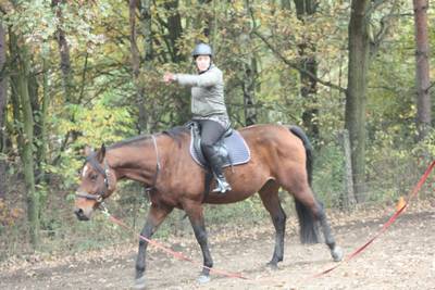  Sitzuebungen an der Longe