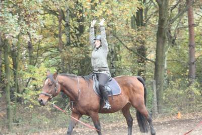  Sitzuebungen an der Longe