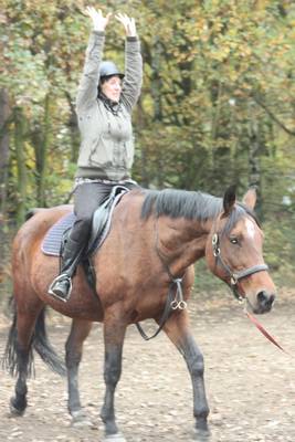  Sitzuebungen an der Longe