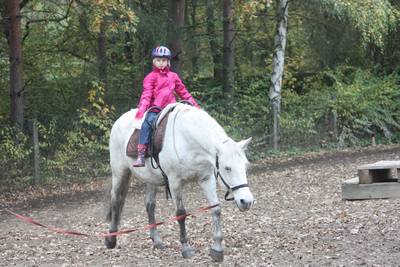 Sitzuebungen an der Longe