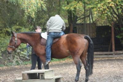  freies Reiten zum probieren
