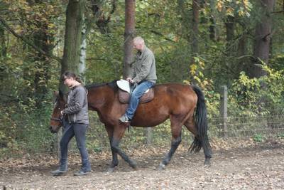  freies Reiten zum probieren