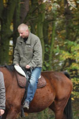  freies Reiten zum probieren