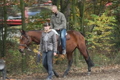  freies Reiten zum probieren