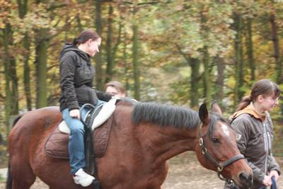  freies Reiten zum probieren