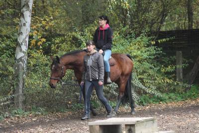  freies Reiten zum probieren