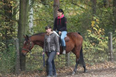  freies Reiten zum probieren