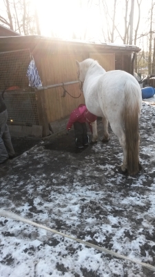 Bauch putzen gehoert dazu