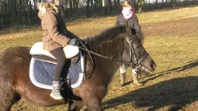 Bonny beim Reitunterricht