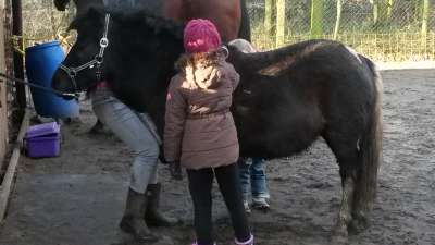Bonny wird geputzt