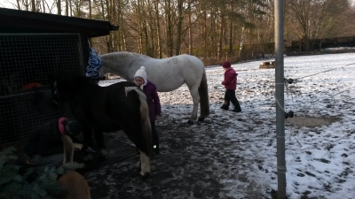 Kinderreitstunde