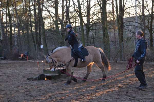 Longenstunde