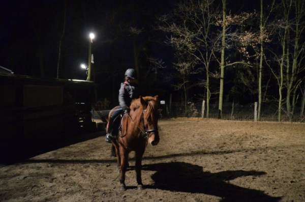 auch Abends gibt es Reitunterricht